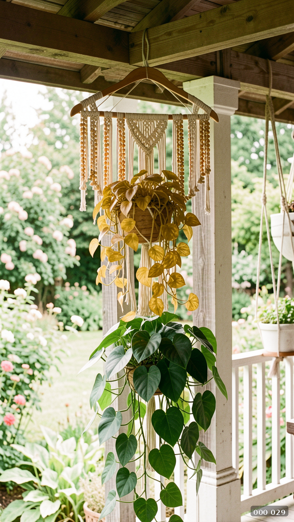 Hanging Vibes